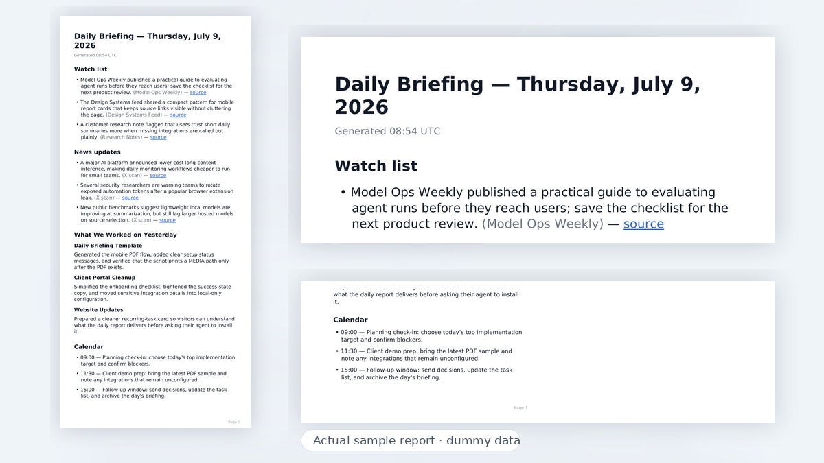 Daily Briefing PDF preview